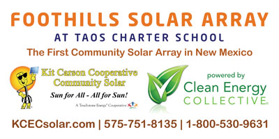 Community Solar Array